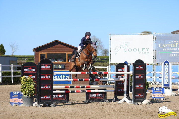 Perfect_Jumper_Horse-1.jpeg
